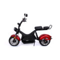 Wholesale Removable Battery Mobility Electric Bicycle